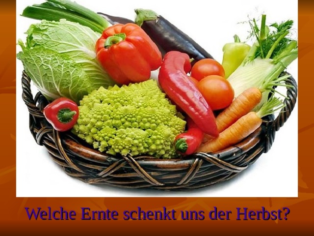 Welche Ernte schenkt uns der Herbst?