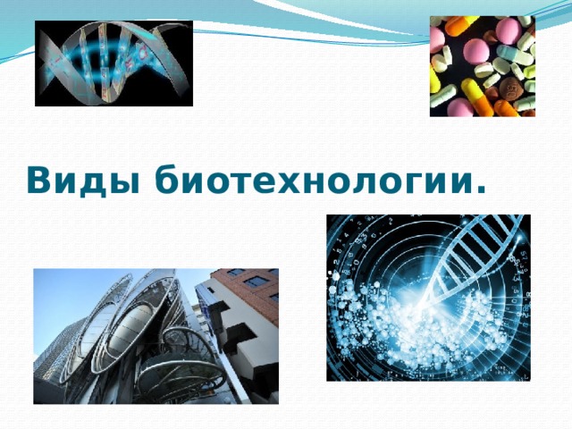 Виды биотехнологии. 