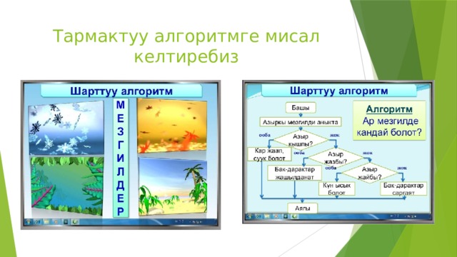 Тармактуу алгоритмге мисал келтиребиз 