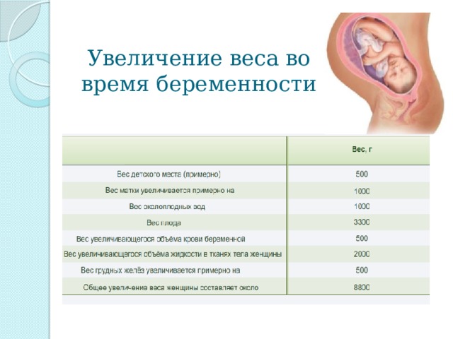 Внутриутробное развитие организма развитие после рождения 8 класс презентация