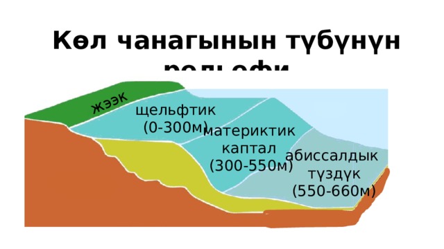 жээк Көл чанагынын түбүнүн рельефи щельфтик (0-300м) материктик каптал (300-550м) абиссалдык  түздүк  (550-660м) 