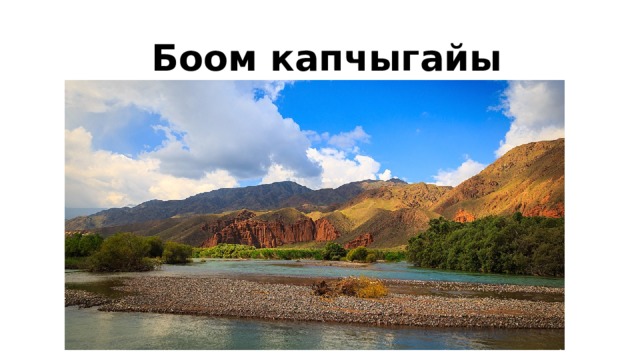 Боом капчыгайы 