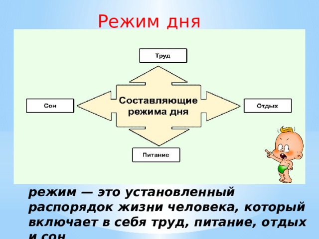 Режим  дня режим — это установленный распорядок жизни человека, который включает в себя труд, питание, отдых и сон 