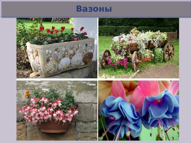 Вазоны  