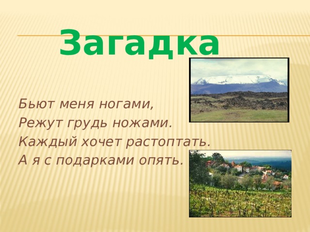 Загадка   Бьют меня ногами, Режут грудь ножами. Каждый хочет растоптать. А я с подарками опять. 