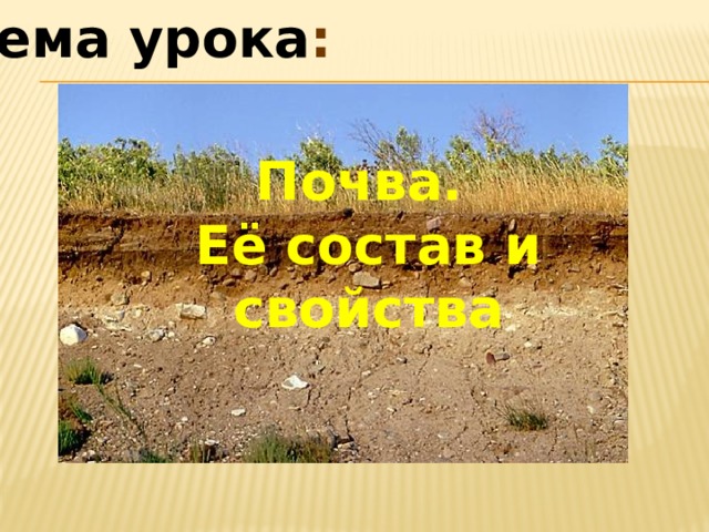 Тема урока : Почва. Её состав и свойства 