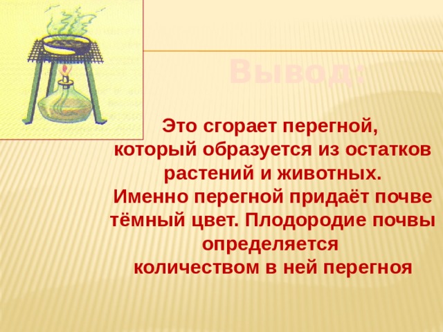 Вывод: Это сгорает перегной, который образуется из остатков растений и животных. Именно перегной придаёт почве тёмный цвет. Плодородие почвы определяется количеством в ней перегноя 
