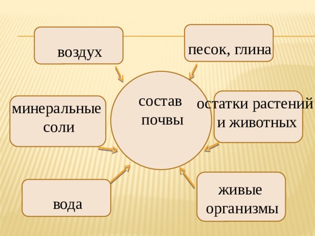 песок, глина воздух состав почвы остатки растений и животных минеральные соли живые организмы вода 