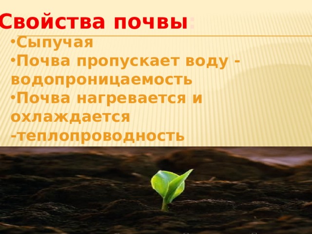 Свойства почвы : Сыпучая Почва пропускает воду - водопроницаемость Почва нагревается и охлаждается -теплопроводность Плодородие 
