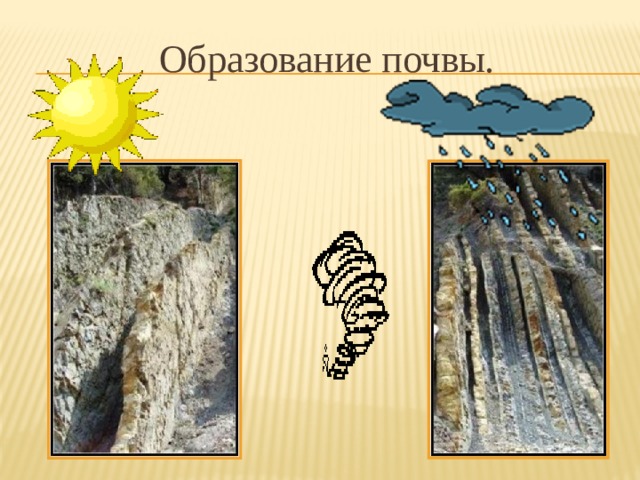 Образование почвы. 