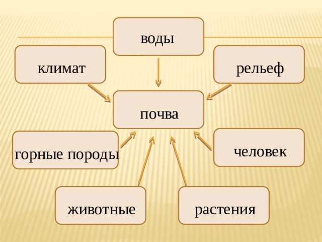 воды климат рельеф почва человек горные породы животные растения 