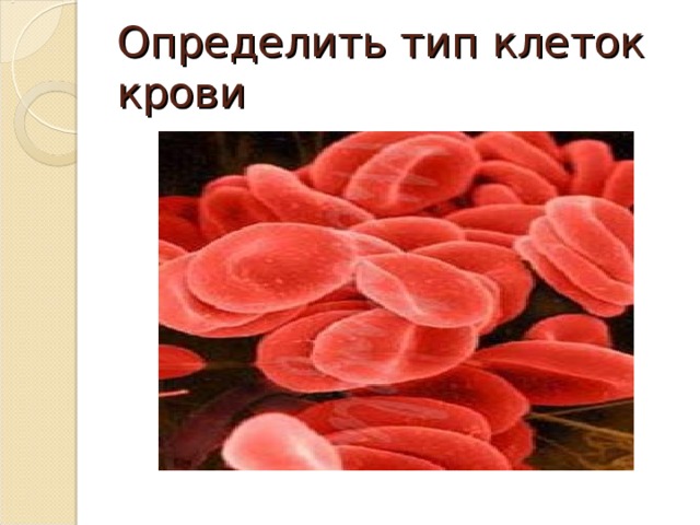 Определить тип клеток крови 