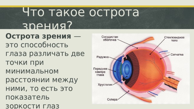 Что такое острота зрения? Острота зрения — это способность глаза различать две точки при минимальном расстоянии между ними, то есть это показатель зоркости глаз 
