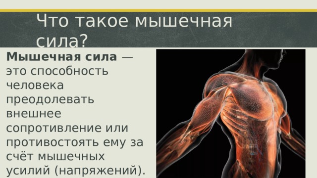 Что такое мышечная сила? Мышечная сила — это способность человека преодолевать внешнее сопротивление или противостоять ему за счёт мышечных усилий (напряжений). 