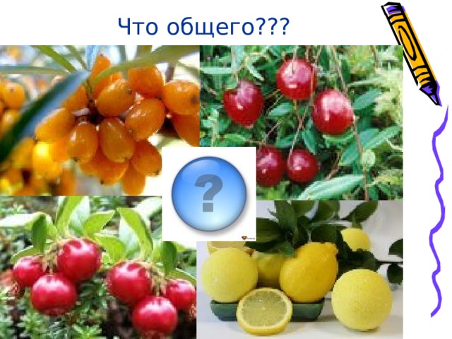 Что общего??? 