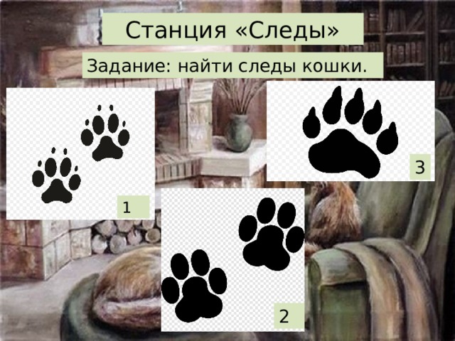 Станция «Следы» Задание: найти следы кошки. 3 1 Какое домашнее животное очень хорошо видят в темное?  Кошки, по мнению ученых, не видят в полногй темноте, но при свете звезд и луны видят в 6 раз лучше, чем люди. В темное время суток их зрачки заметно расширяются, достигая 14-миллиметрого диаметра (для сравнения: у человека максимальный диаметр зрачка не превышает 8 миллиметров). А вот в яркий солнечный день кошачьи зрачки превращаются в тоненькие щелки, чтобы не повредить обилием света чувствительные клетки сетчатки. 1- собака 2 – кот 3 - медведь 2  