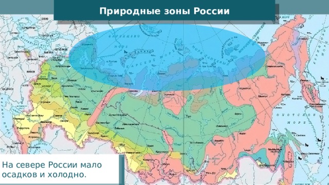 Природные зоны России На севере России мало осадков и холодно. 