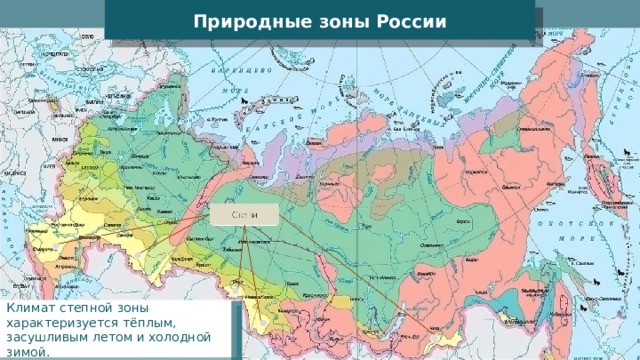 Природные зоны России Климат степной зоны характеризуется тёплым, засушливым летом и холодной зимой. 