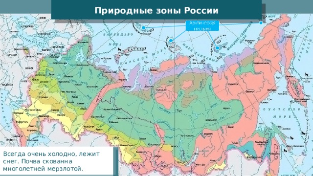 Природные зоны России Всегда очень холодно, лежит снег. Почва скованна многолетней мерзлотой. 