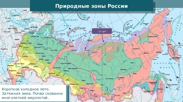 Природные зоны России Короткое холодное лето. Затяжная зима. Почва скованна многолетней мерзлотой. 