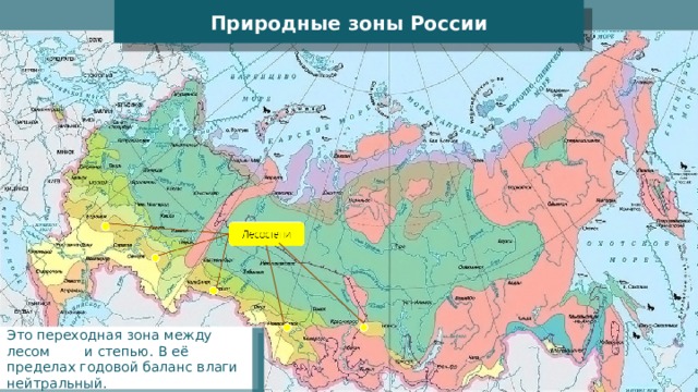Природные зоны России Это переходная зона между лесом и степью. В её пределах годовой баланс влаги нейтральный. 