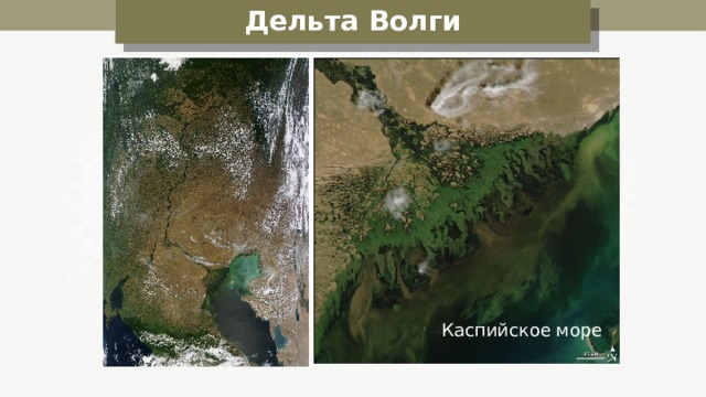 Дельта Волги Каспийское море 
