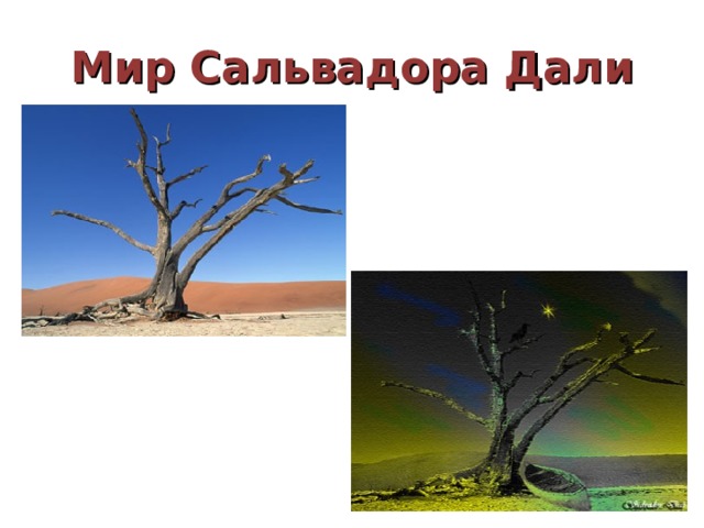 Мир Сальвадора Дали 