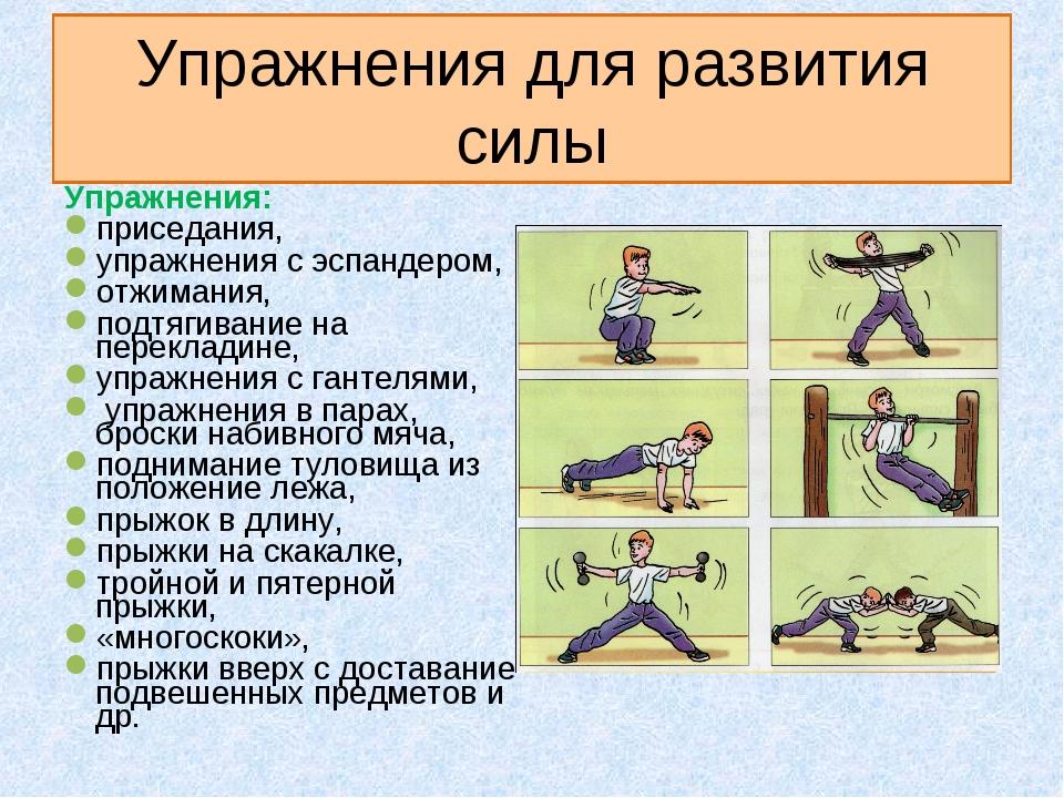 Освоение комплексных силовых упражнений на различные группы мышц без предметов рисунок