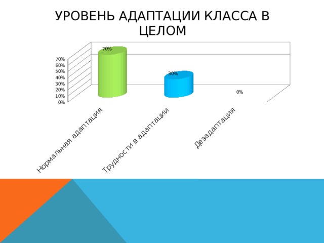 УРОВЕНЬ АДАПТАЦИИ КЛАССА В ЦЕЛОМ 