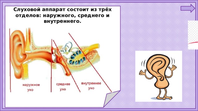 Технологическая карта 1 класс окружающий мир почему звенит звонок