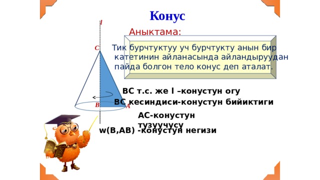 Конус l Аныктама: Тик бурчтуктуу уч бурчтукту анын бир  катетинин айланасында айландыруудан  пайда болгон тело конус деп аталат. С ВС т.с. же l –конустун огу ВС кесиндиси-конустун бийиктиги В А АС-конустун тузуучусу w(В,АВ) -конустун негизи 