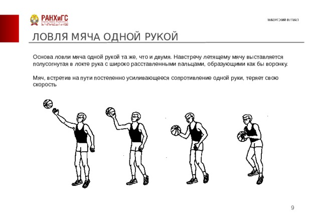 Ловля мяча в баскетболе. Ловля мяча 1 рукой. Ловля баскетбольного мяча одной рукой. Техника ловли мяча одной рукой.