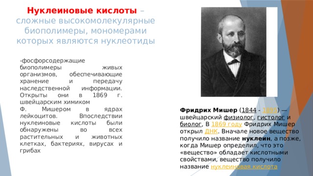 Нуклеиновые кислоты – сложные высокомолекулярные биополимеры, мономерами которых являются нуклеотиды -фосфорсодержащие биополимеры живых организмов, обеспечивающие хранение и передачу наследственной информации. Открыты они в 1869 г. швейцарским химиком Ф. Мишером в ядрах лейкоцитов. Впоследствии нуклеиновые кислоты были обнаружены во всех растительных и животных клетках, бактериях, вирусах и грибах Фридрих Мишер  ( 1844 -  1895 ) — швейцарский физиолог ,  гистолог  и  биолог , В  1869 году  Фридрих Мишер открыл  ДНК . Вначале новое вещество получило название  нуклеин , а позже, когда Мишер определил, что это «вещество» обладает кислотными свойствами, вещество получило название  нуклеиновая кислота  