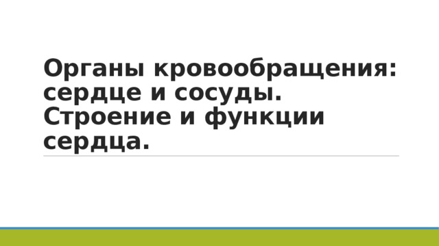 Органы кровообращения: сердце и сосуды. Строение и функции сердца.  