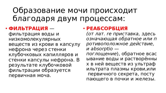 Образование мочи происходит благодаря двум процессам: ФИЛЬТРАЦИЯ — фильтрация воды и низкомолекулярных веществ из крови в капсулу нефрона через стенки клубочковых капилляров и стенки капсулы нефрона. В результате клубочковой фильтрации образуется первичная моча. РЕАБСОРБЦИЯ (от лат. re приставка, здесь означающая обратное или противоположное действие, и absorptio —поглощение ), обратное всасывание воды и растворённых в ней веществ из ультрафильтрата плазмы крови,или первичного секрета, поступающего в почки и железы. 