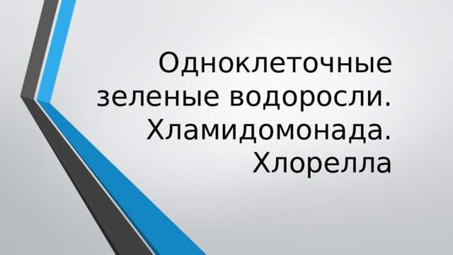 Одноклеточные зеленые водоросли. Хламидомонада. Хлорелла 