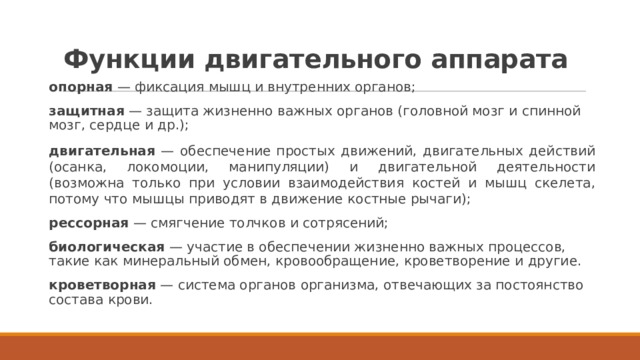 Функции двигательного аппарата опорная — фиксация мышц и внутренних органов; защитная — защита жизненно важных органов (головной мозг и спинной мозг, сердце и др.); двигательная — обеспечение простых движений, двигательных действий (осанка, локомоции, манипуляции) и двигательной деятельности (возможна только при условии взаимодействия костей и мышц скелета, потому что мышцы приводят в движение костные рычаги); рессорная — смягчение толчков и сотрясений; биологическая — участие в обеспечении жизненно важных процессов, такие как минеральный обмен, кровообращение, кроветворение и другие. кроветворная — система органов организма, отвечающих за постоянство состава крови.  