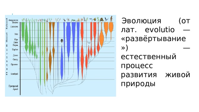 Эволюция (от лат. evolutio — «развёртывание») — естественный процесс развития живой природы  