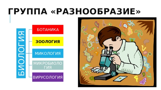 БИОЛОГИЯ Группа «Разнообразие» БОТАНИКА ЗООЛОГИЯ МИКОЛОГИЯ МИКРОБИОЛОГИЯ Определения наук: Бота́ника (др.-греч. βοτανικός — «относящийся к растениям», от βοτάνη — «трава, растение») — наука о растениях, раздел биологии Зоология (от др.-греч. ζῷον – животное + λόγος – учение) — биологическая наука, изучающая представителей царства животных Миколо́гия (от др.-греч. μύκης — гриб) — раздел биологии, наука о грибах Микробиология — наука о живых организмах, невидимых невооруженным глазом (микроорганизмах): бактерии, археи, микроскопические грибы и водоросли Вирусология — раздел микробиологии, изучающий вирусы (от латинского слова virus — яд) ВИРУСОЛОГИЯ 7 