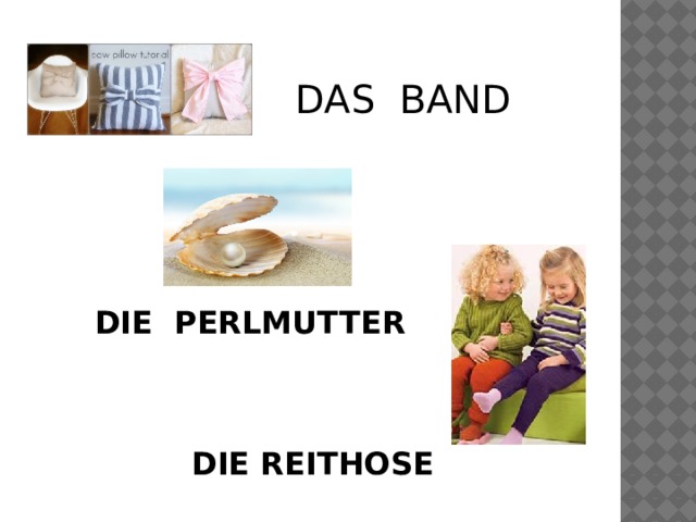 DAS BAND DIE PERLMUTTER DIE REITHOSE 