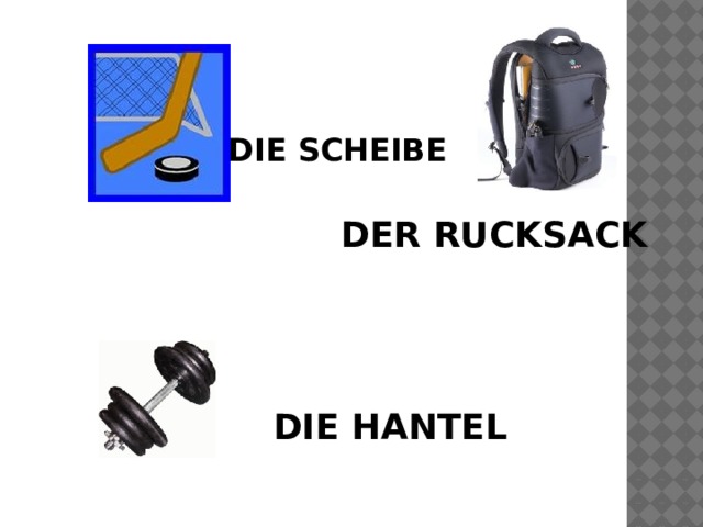 DIE SCHEIBE DER RUCKSACK DIE HANTEL 