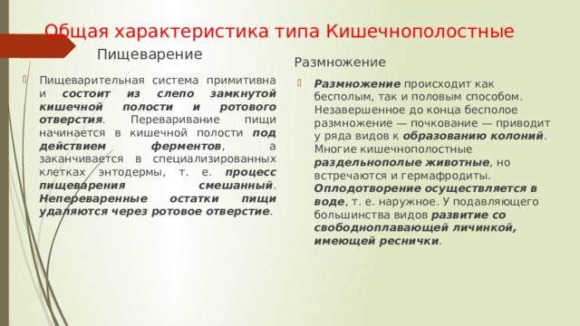 Общая характеристика типа Кишечнополостные Пищеварение Размножение Пищеварительная система примитивна и состоит из слепо замкнутой кишечной полости и ротового отверстия . Переваривание пищи начинается в кишечной полости под действием ферментов , а заканчивается в специализированных клетках энтодермы, т. е. процесс пищеварения смешанный . Непереваренные остатки пищи удаляются через ротовое отверстие . Размножение происходит как бесполым, так и половым способом. Незавершенное до конца бесполое размножение — почкование — приводит у ряда видов к образованию колоний . Многие кишечнополостные раздельнополые животные , но встречаются и гермафродиты. Оплодотворение осуществляется в воде , т. е. наружное. У подавляющего большинства видов развитие со свободноплавающей личинкой, имеющей реснички . 