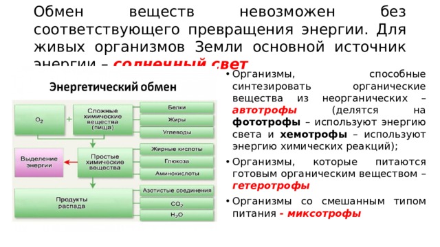 Обмен веществ и превращение энергии презентация