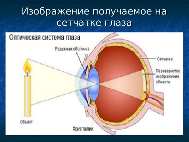 Каким получается изображение на сетчатке глаза. Оптическая система глаза. Глаз как оптическая система. Изображение на сетчатке получается. На сетчатке глаза изображение получается.