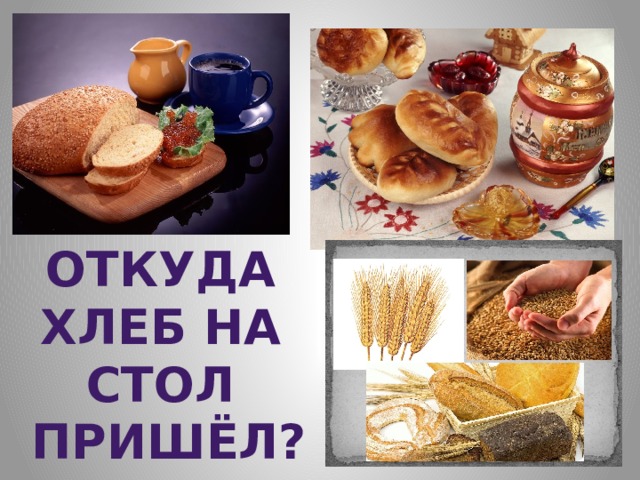 Откуда хлеб на стол пришёл? 