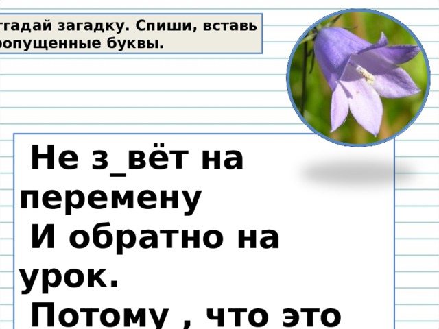 Спиши загадку. Алиса списывать загадки. 181. Прочитайте загадку. Спишите..