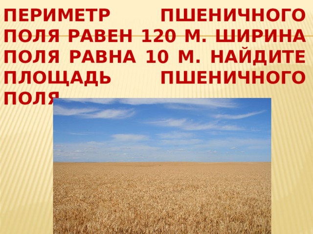 Пшеничная площадь. Площадь стандартного пшеничного поля. Средняя площадь пшеничного поля от и до. Равно поля область Крим. Поставь подходящую единицу площади площадь поля пшеницы равна 4.