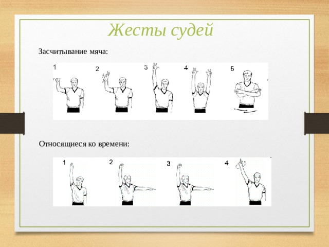 Жесты судей в настольном теннисе картинки