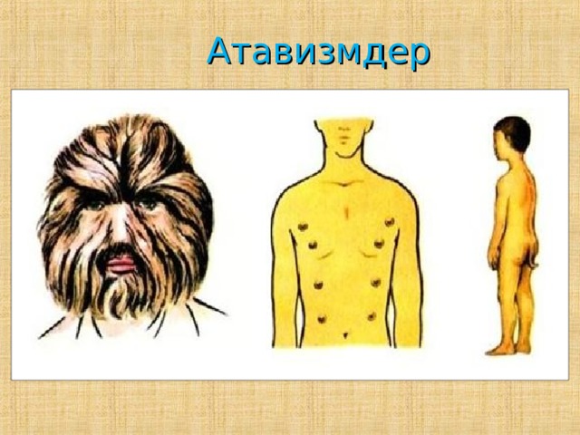  Атавизмдер   