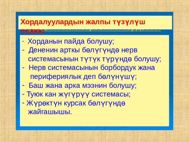 Хордалуулардын жалпы түзүлүш планы  Хорданын пайда болушу;  Дененин арткы бөлүгүндө нерв  системасынын түтүк түрүндө болушу;  Нерв системасынын борбордук жана  перифериялык деп бөлүнүшү;  Баш жана арка мээнин болушу;  Туюк кан жүгүрүү системасы;  Жүрөктүн курсак бөлүгүндө  жайгашышы.    